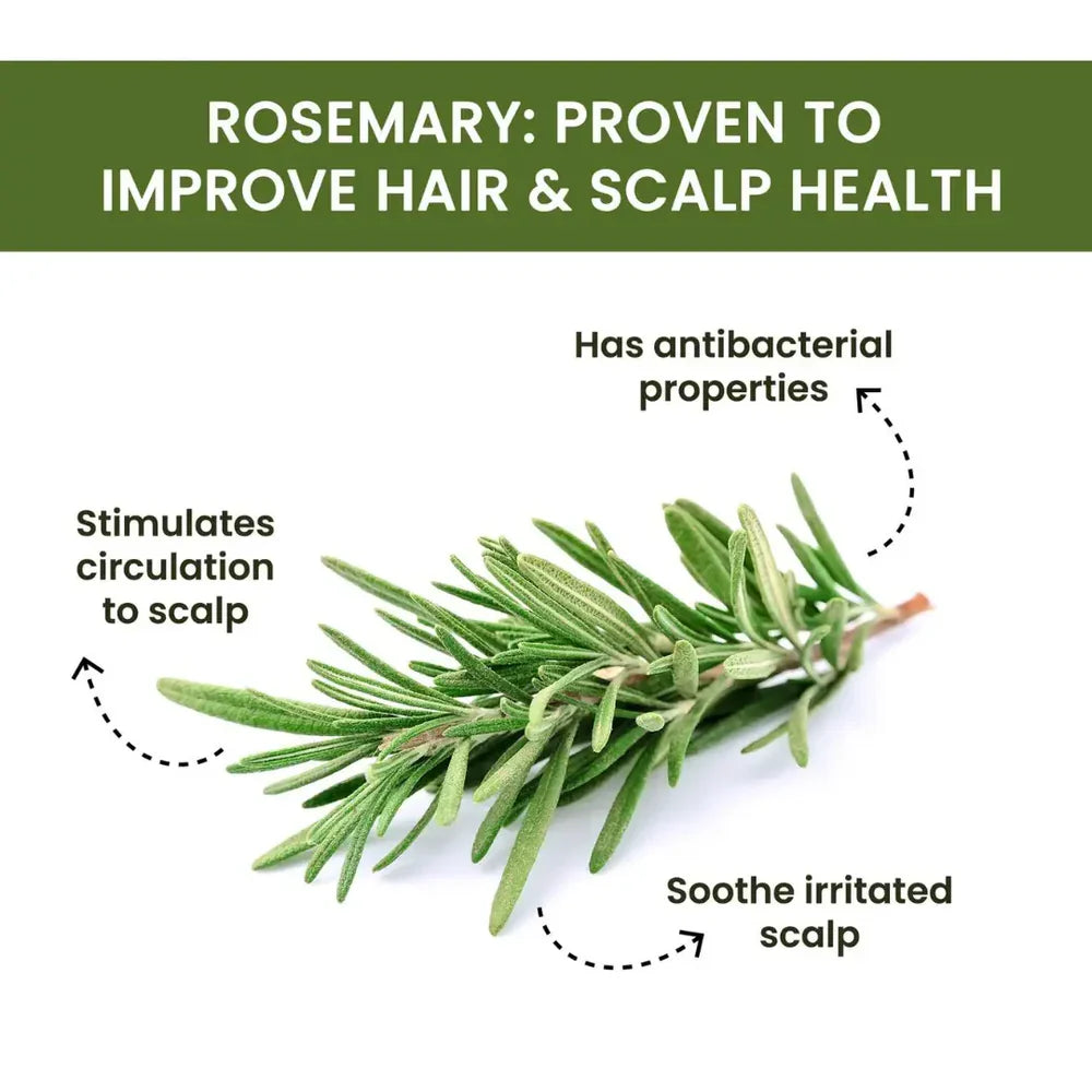 Rosemary Water Spray | For Hair Regrowth (Buy 1 Get 2 Free 馃槏)